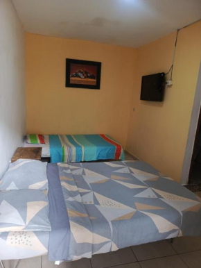 Hostal delfín